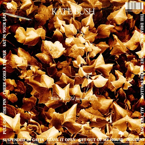 Kate Bush - The Dreaming 2018 Remaster Black Vinyl Edition