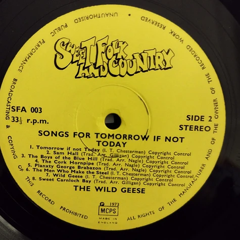 The Wild Geese Folk Group - Songs For Tomorrow If Not Today