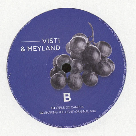 Visti & Meyland - Sharing The Light