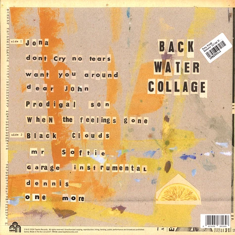 Penny Arcade - Backwater Collage Black Vinyl Edition