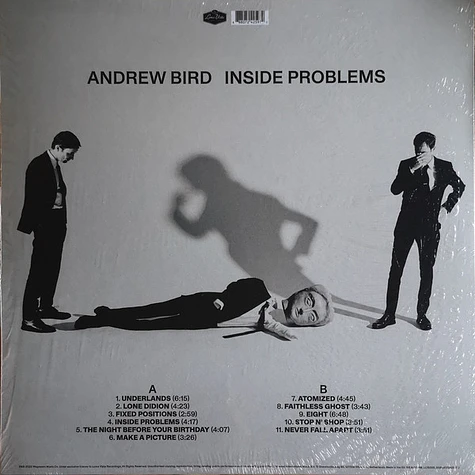 Andrew Bird - Inside Problems