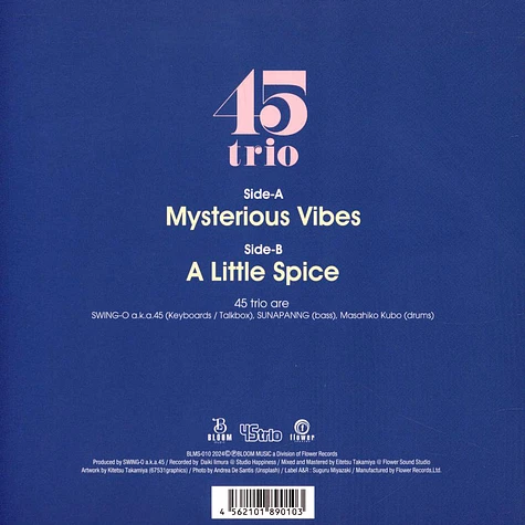 45trio - Mysterious Vibes / A Little Spice