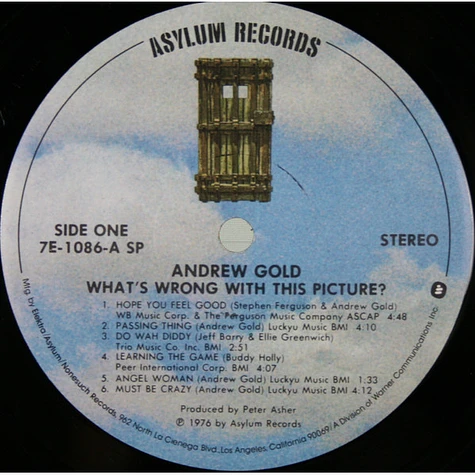 Andrew Gold - What's Wrong With This Picture?