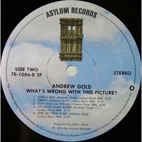 Andrew Gold - What's Wrong With This Picture?