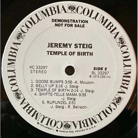 Jeremy Steig - Temple Of Birth