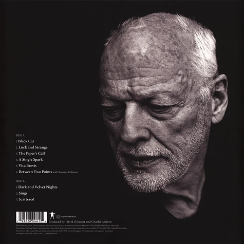 David Gilmour - Luck And Strange