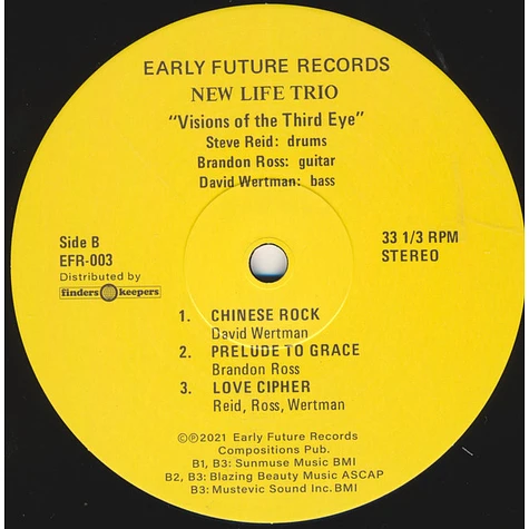 New Life Trio - Visions Of The Third Eye