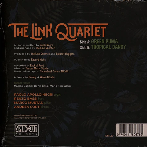 Link Quartet - Green Puma Tropical Dandy