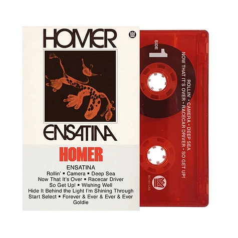 Homer - Ensatina