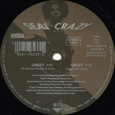 Seal - Crazy (The William Orbit Remix)