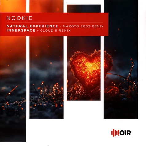 Nookie - Natural Experience / Innerspace Remixes EP