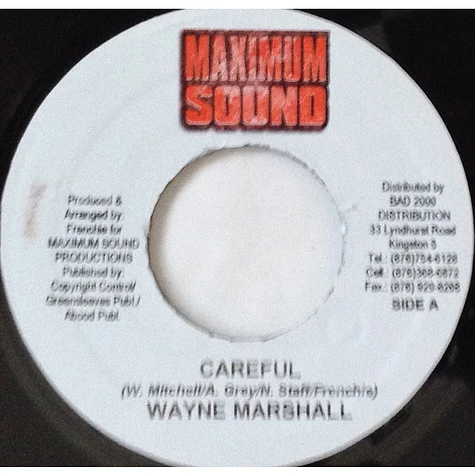 Wayne Marshall - Careful