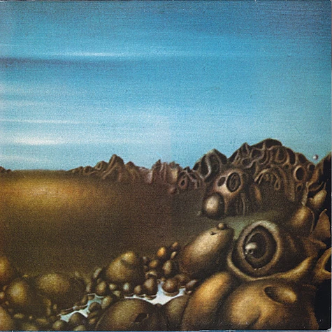 KLAUS SCHULZE CYBORG レコードLP2枚 Klaus Schulze – Cyborg – 2 x Vinyl (Gatefold Sleeve, LP