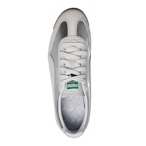 Puma - Arizona Astro Escape