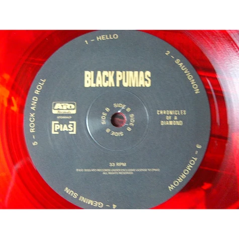 Black Pumas - Chronicles Of A Diamond