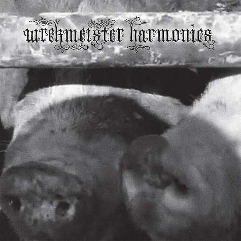 Wrekmeister Harmonies - Flowers In The Spring Opaque Pink Vinyl Edition