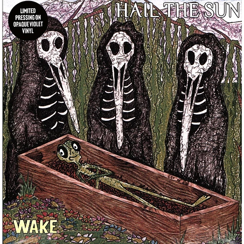 Hail The Sun - Wake