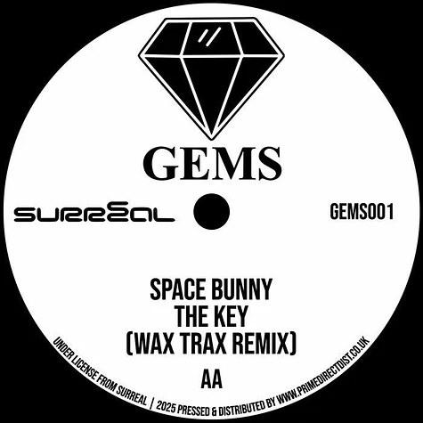 Radical Chic / Space Bunny - In Da Shadows (Terry Francis Remix) / The Key (Wax Trax Remix)