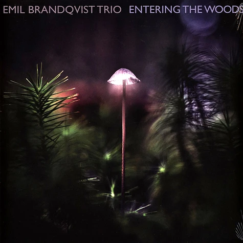 Emil Brandqvist Trio - Entering The Woods Limited Black Vinyl Edition