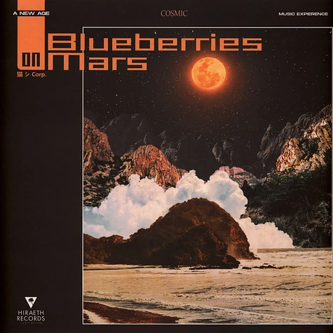 Catsystem Corp - Blueberries On Mars Black Vinyl Edition