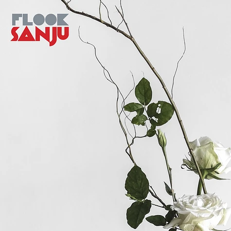 Flook - Sanju Vinyl Edition