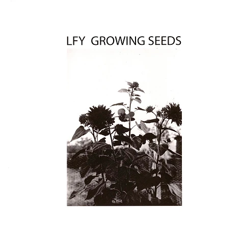 Lust For Youth - Growing Seeds