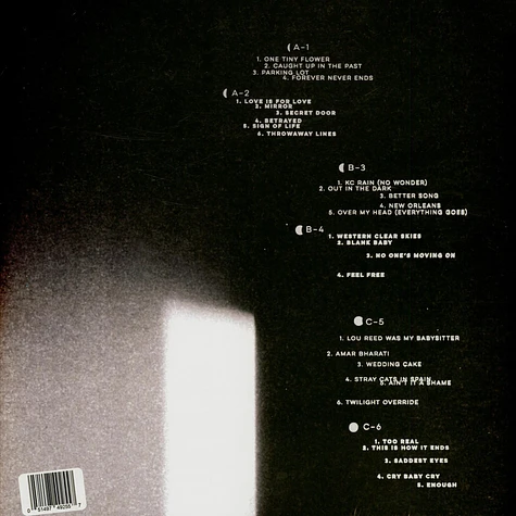 Jeff Tweedy - Twilight Override