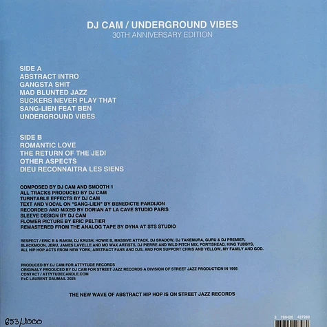 DJ Cam - Underground Vibes 30th Anniversary Edition - Vinyl LP