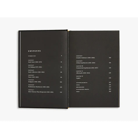 Doug Woodham - Jean-Michel Basquiat: The Making of an Icon