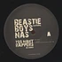 Beastie Boys - Too Many Rappers Remixes feat. Nas
