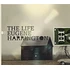 Eugene Harrington - The Life Of Eugene Harrington