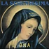DNA - La Serenissima