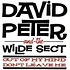 David Peter & Wilde Sect, The - Out Of My Mind / Don't Leave Me