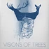 Visions Of Trees - Sometimes It Kills / No Flags