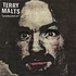 Terry Malts - Something About You