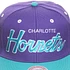 Mitchell & Ness - Charlotte Hornets NBA 2 Tone Script Snapback Cap