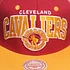 Mitchell & Ness - Cleveland Cavaliers NBA Arch 2 Tone Snapback Cap