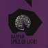 Kaspar - Spice of Light EP
