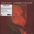 Laurence Vanay - Evening Colours