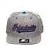 Iriedaily - Baseteam Starter Cap