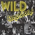 Wild Emotions - Hey Everybody
