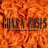 Guns N' Roses - "The Spaghetti Incident?"