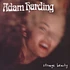 Adam Harding - Strange Beauty