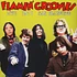 Flamin' Groovies - Live In San Francisco 1973