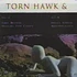 Florian Kupfer / Torn Hawk - Hungry For Candy