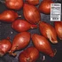 Ty Segall - Fried Shallots