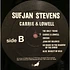 Sufjan Stevens - Carrie & Lowell
