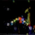 B-Side & Philanthrope - Blurred Nightscapes