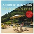 Andrew McMahon In The Wilderness - Upside Down Flowers