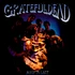 The Grateful Dead - Built To Last
